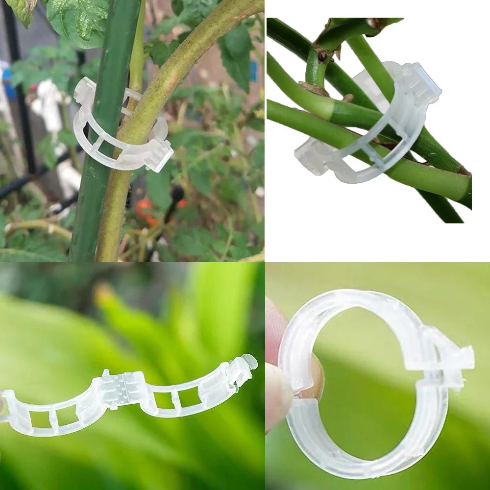 Kletterpflanzen-Clips: Flexible Stützhalter für Stämme