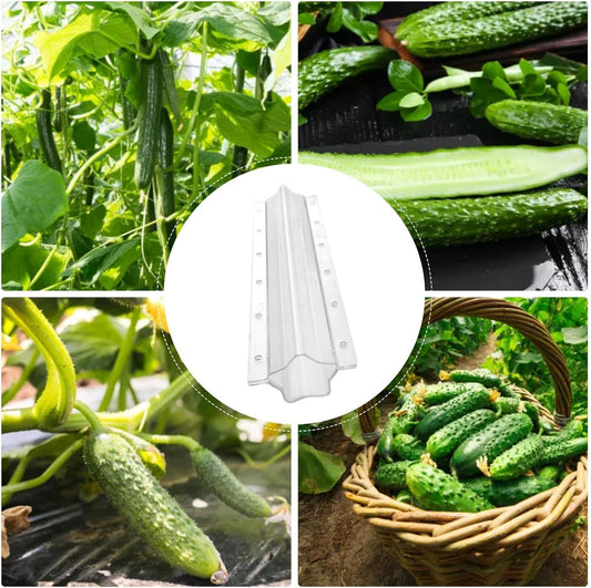Gemüse-Formschiene Stern | Gurken & Obst formen – Garten & Outdoor | BEST-AMBIENCE