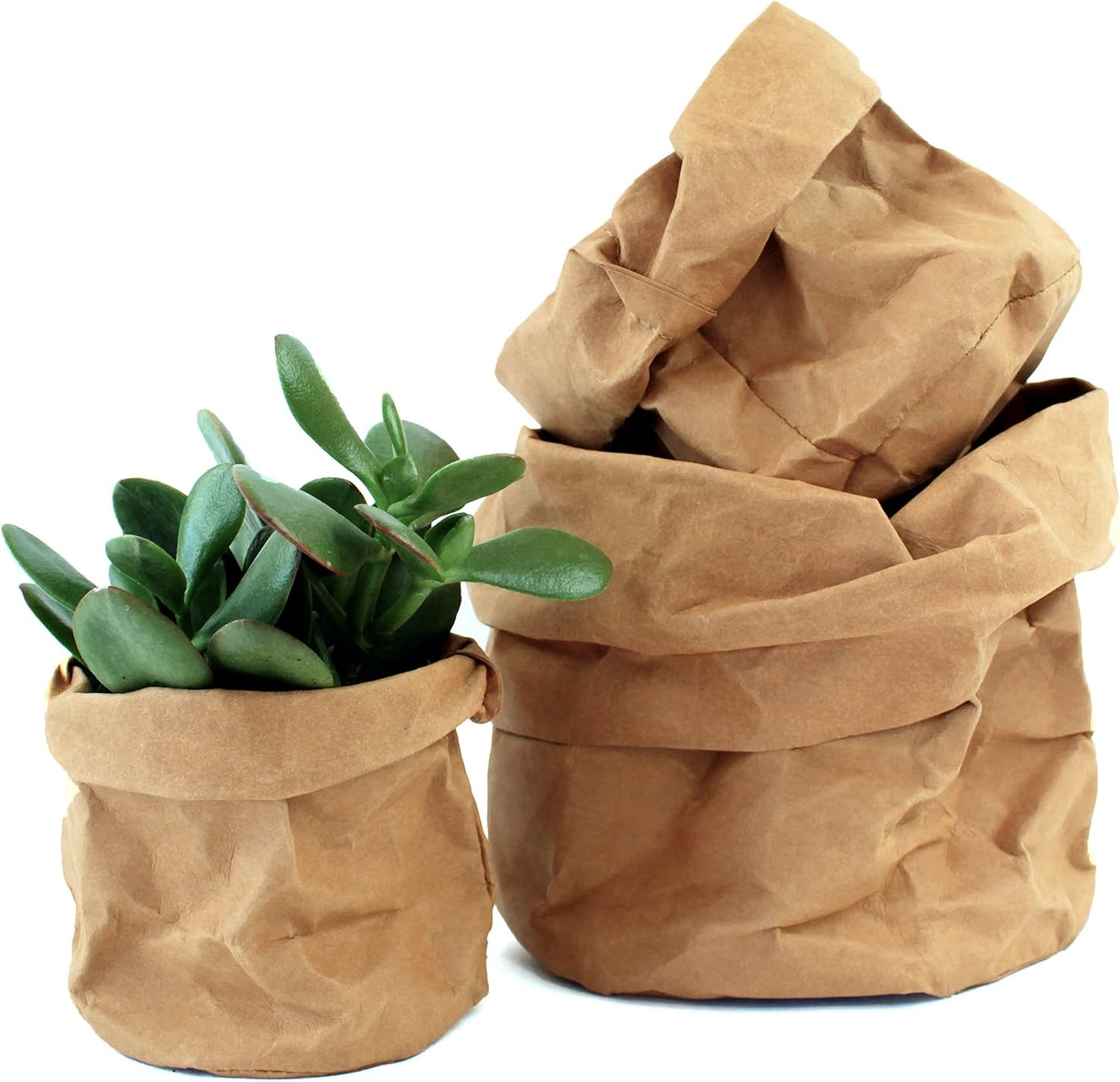 Papier-Pflanzgefäße Modern – Stylische Deko für Garten - Detailansicht 4 | BEST-AMBIENCE