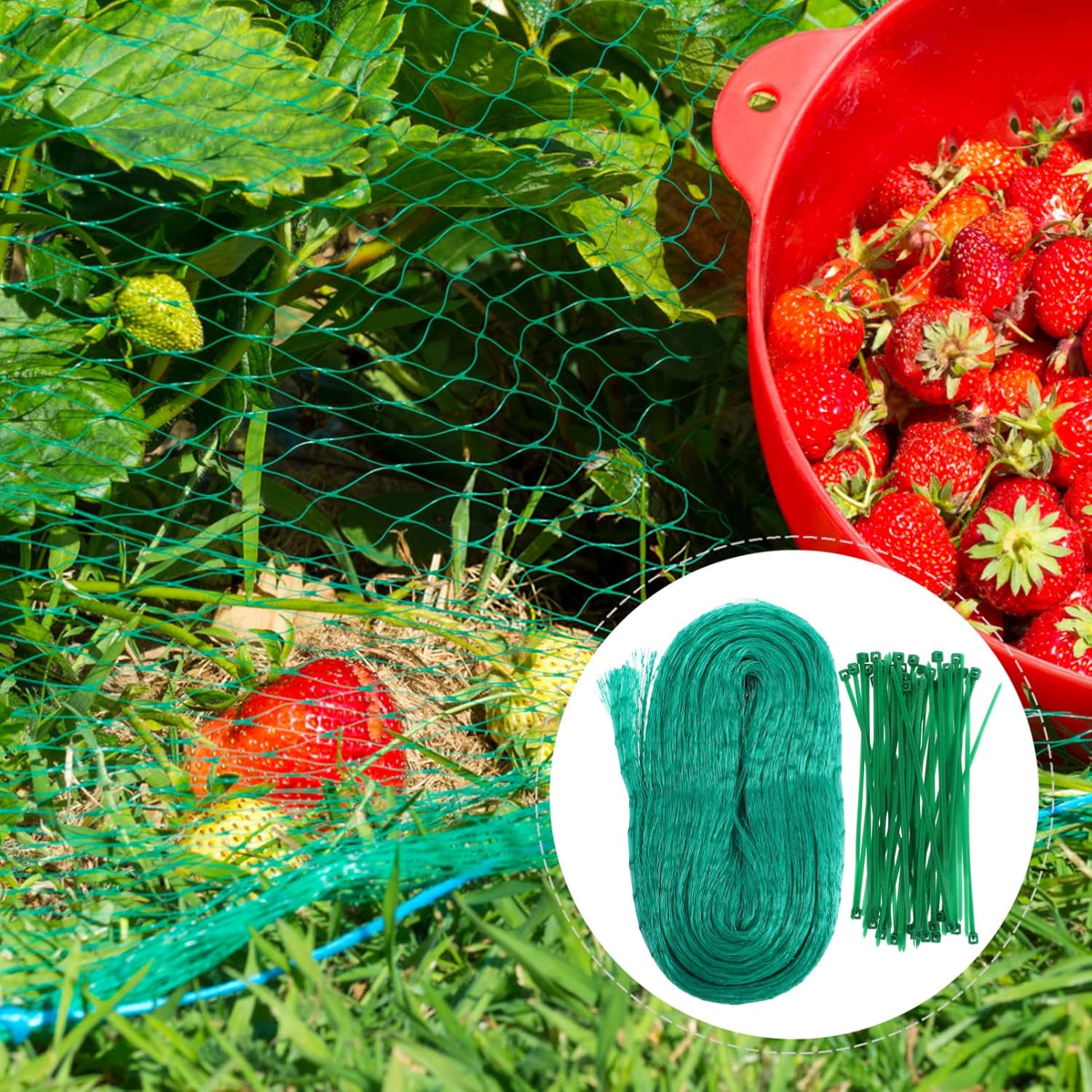Pflanzenschutznetz Grün – Schutz vor Schädlingen & Tieren - Garten & Outdoor | BEST-AMBIENCE