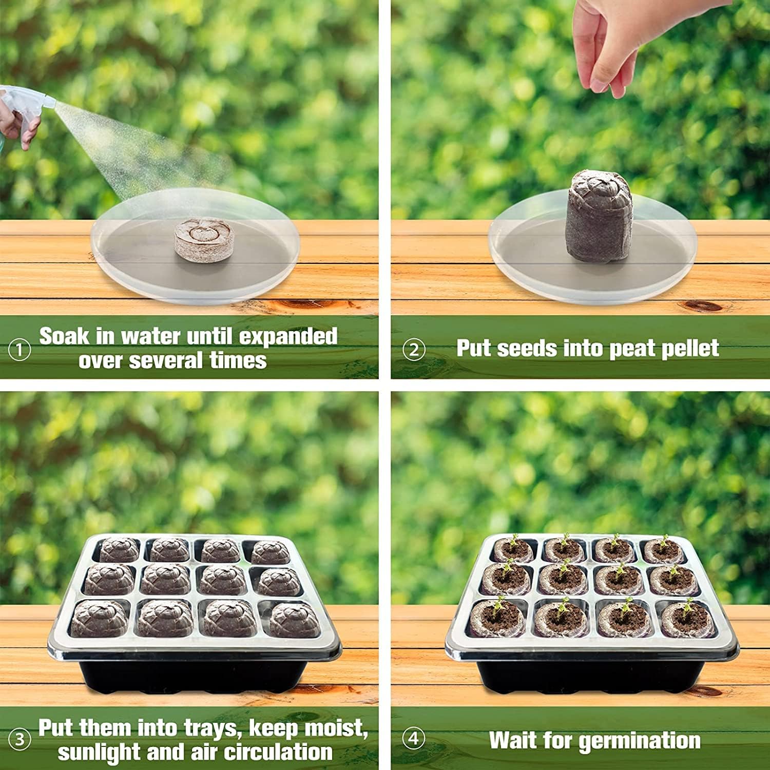 Kokos-Anzuchtpellets Torf für Samen & Jungpflanzen – Detailansicht 4 | BEST-AMBIENCE