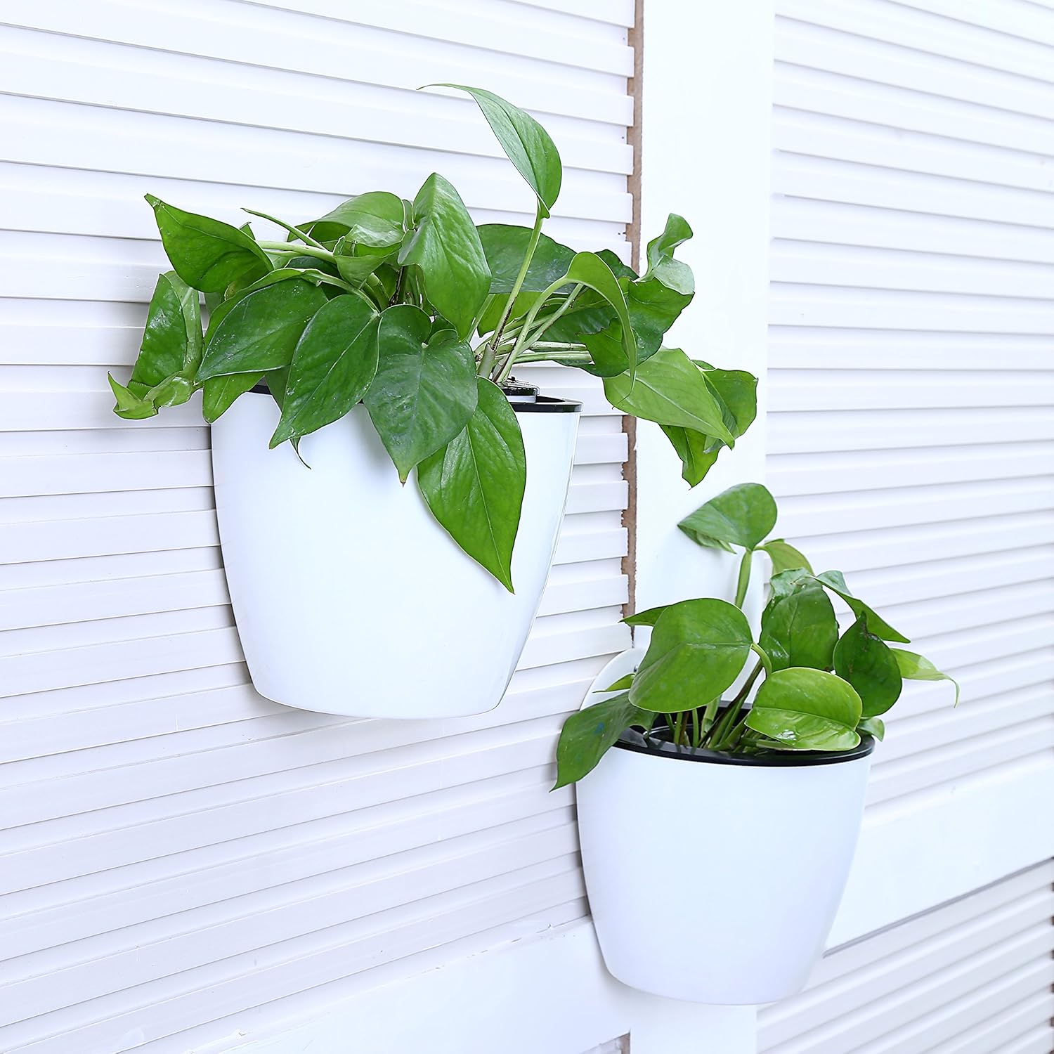 Hängender Blumentopf mit Selbstbewässerung & Wandhalter – Detailansicht 10 | BEST-AMBIENCE