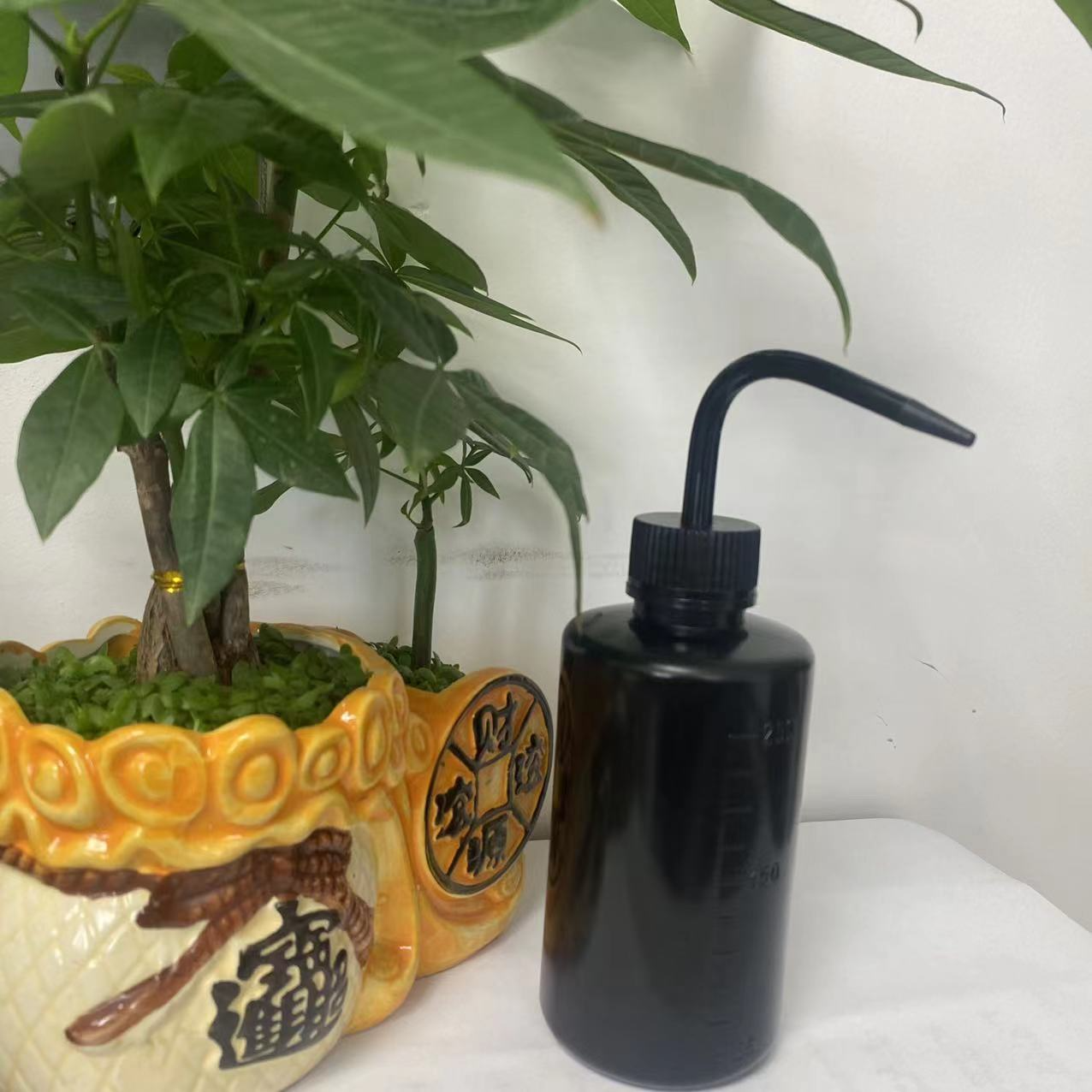Squeeze-Gießflasche 500ml – Präzise Dosierung & Gießen - Detailansicht 7 | BEST-AMBIENCE