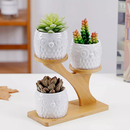 Blumenständer Holz Eulen-Design – Sukkulenten & Zimmerpflanzen - Detailansicht 2 | BEST-AMBIENCE