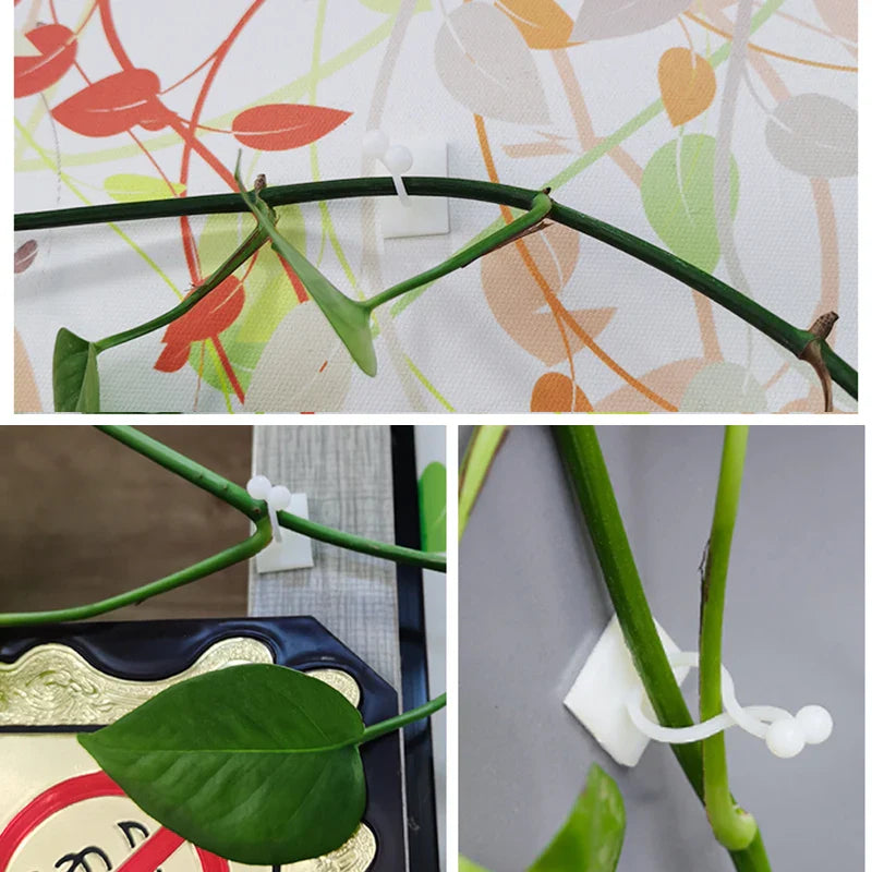 Pflanzenhalter Wandhalterung – Kletterwand Befestigungsclips – Detailansicht 7 | BEST-AMBIENCE