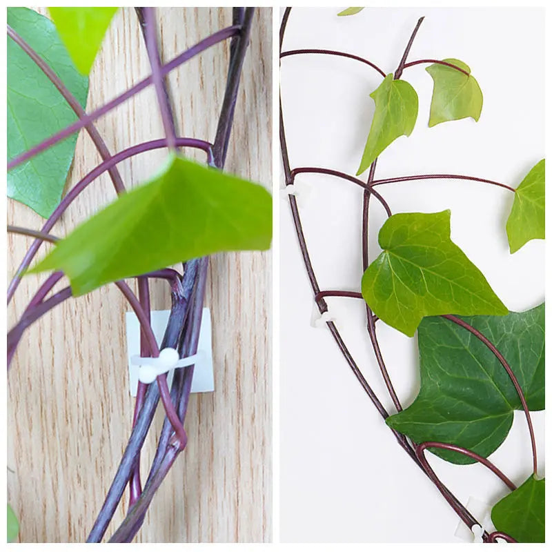 Pflanzenhalter Wandhalterung – Kletterwand Befestigungsclips – Detailansicht 6 | BEST-AMBIENCE