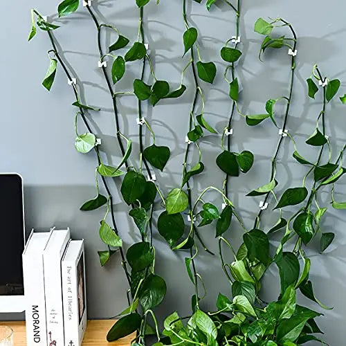 Pflanzenhalter Wandhalterung – Kletterwand Befestigungsclips – Detailansicht 5 | BEST-AMBIENCE