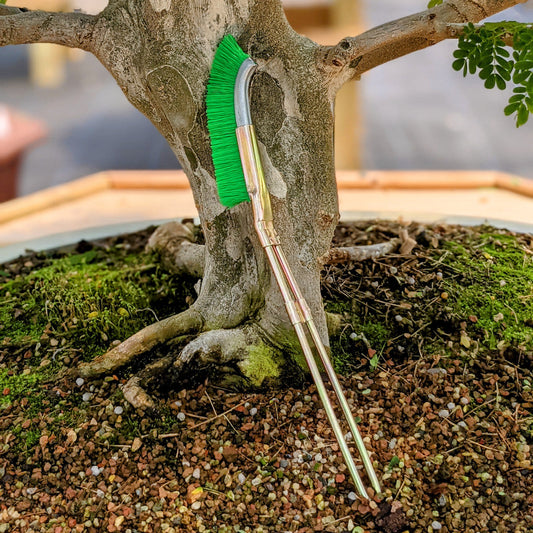 Bonsai Stammreinigungsbürste – Nylon Gartenwerkzeug – Garten & Outdoor | BEST-AMBIENCE
