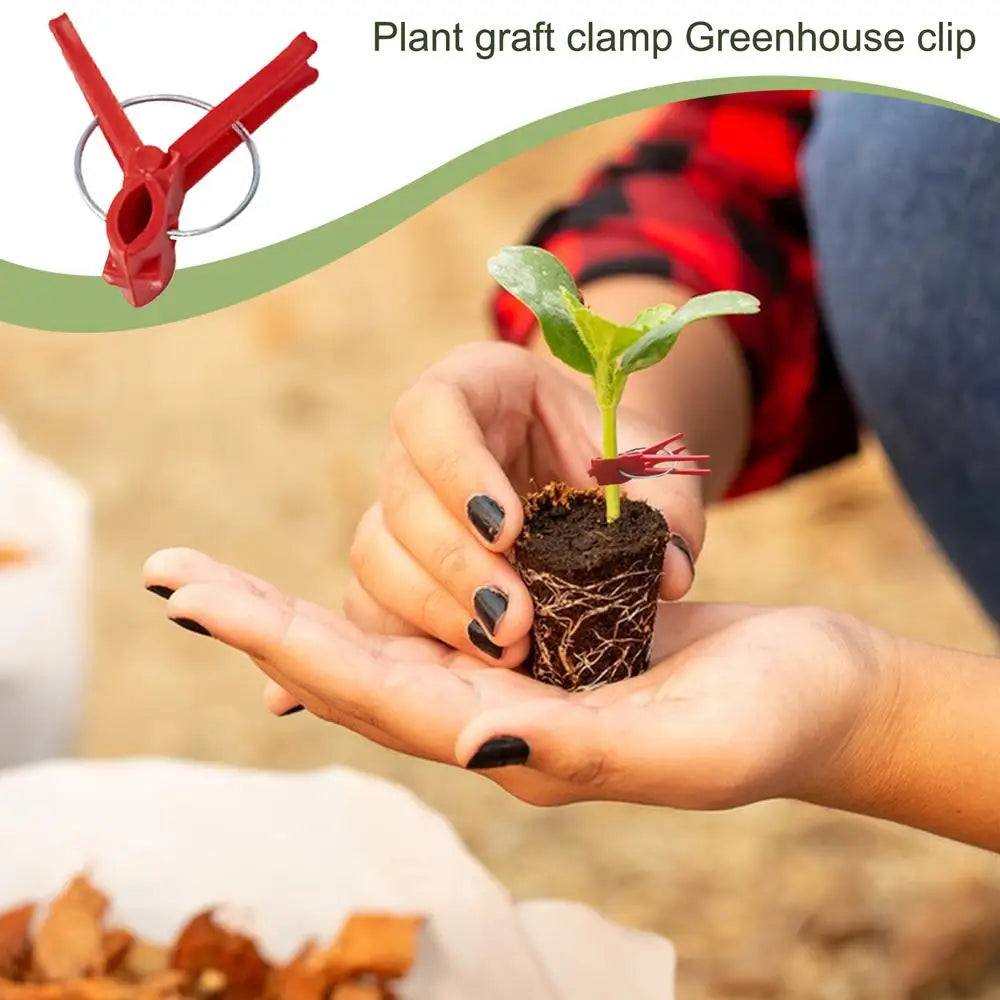 Pfropfclips Kunststoff für Gemüse & Gartenpflanzen – Garten & Outdoor | BEST-AMBIENCE