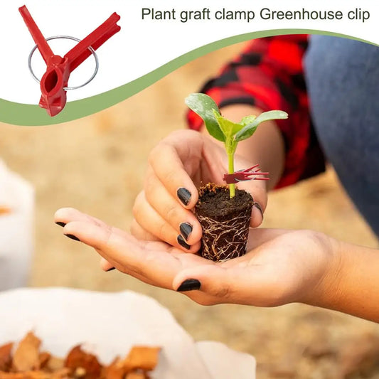 Pfropfclips Kunststoff für Gemüse & Gartenpflanzen – Garten & Outdoor | BEST-AMBIENCE