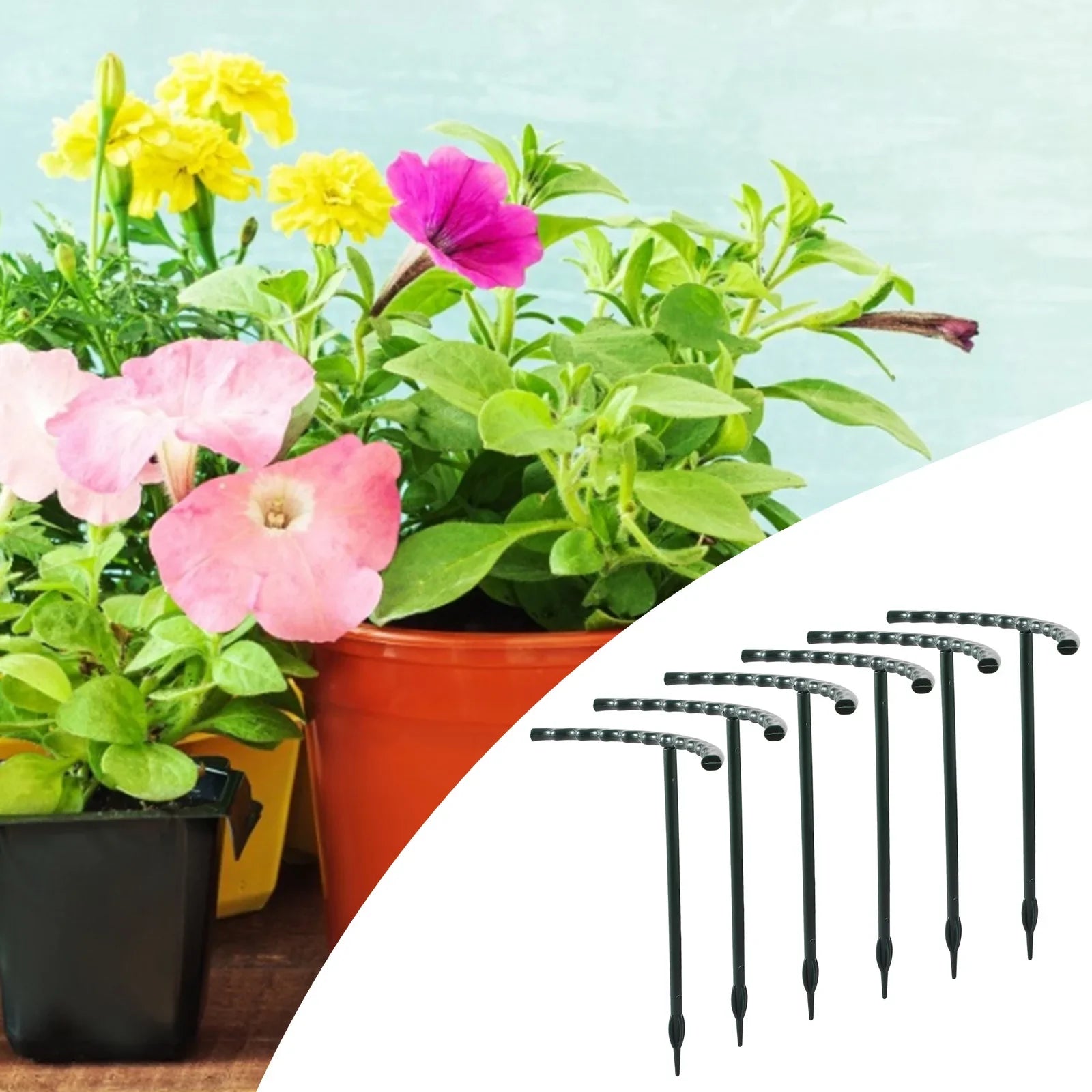 Pflanzenstütze mit Käfig – Stabile Kletterhilfe Garten – Garten & Outdoor | BEST-AMBIENCE