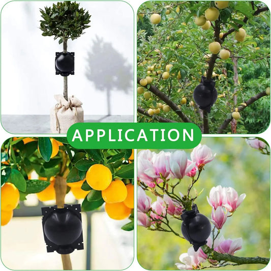 Wurzelschutzkappen zum Umpflanzen & Pflanzenwachstum - Garten & Outdoor | BEST-AMBIENCE