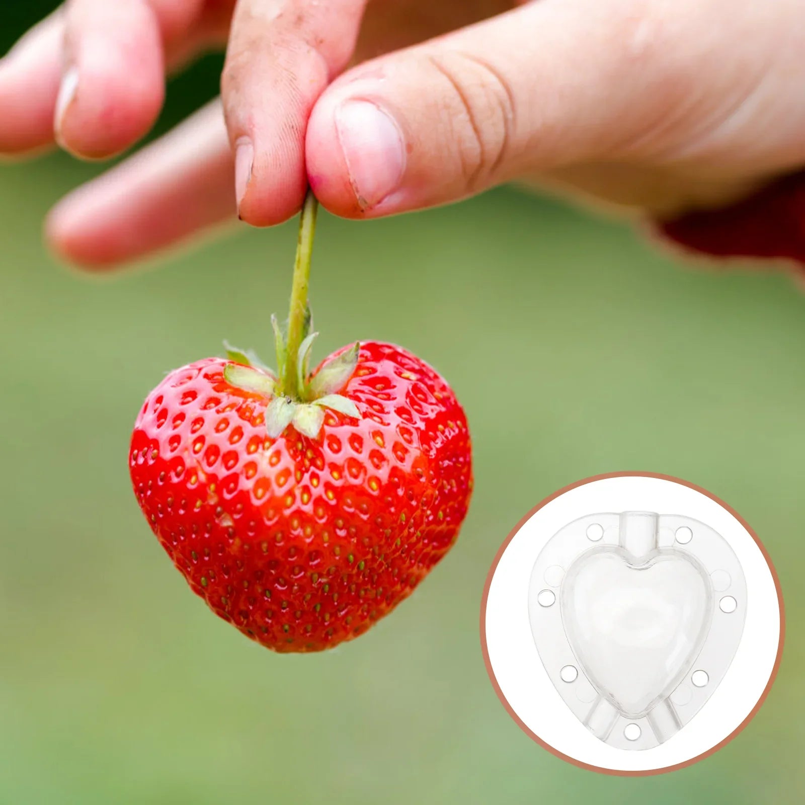 Gemüseformer Herzform – Obst & Gemüse kreativ formen – Detailansicht 2 | BEST-AMBIENCE