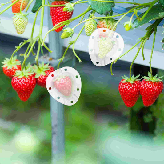 Gemüseformer Herzform – Obst & Gemüse kreativ formen – Garten & Outdoor | BEST-AMBIENCE
