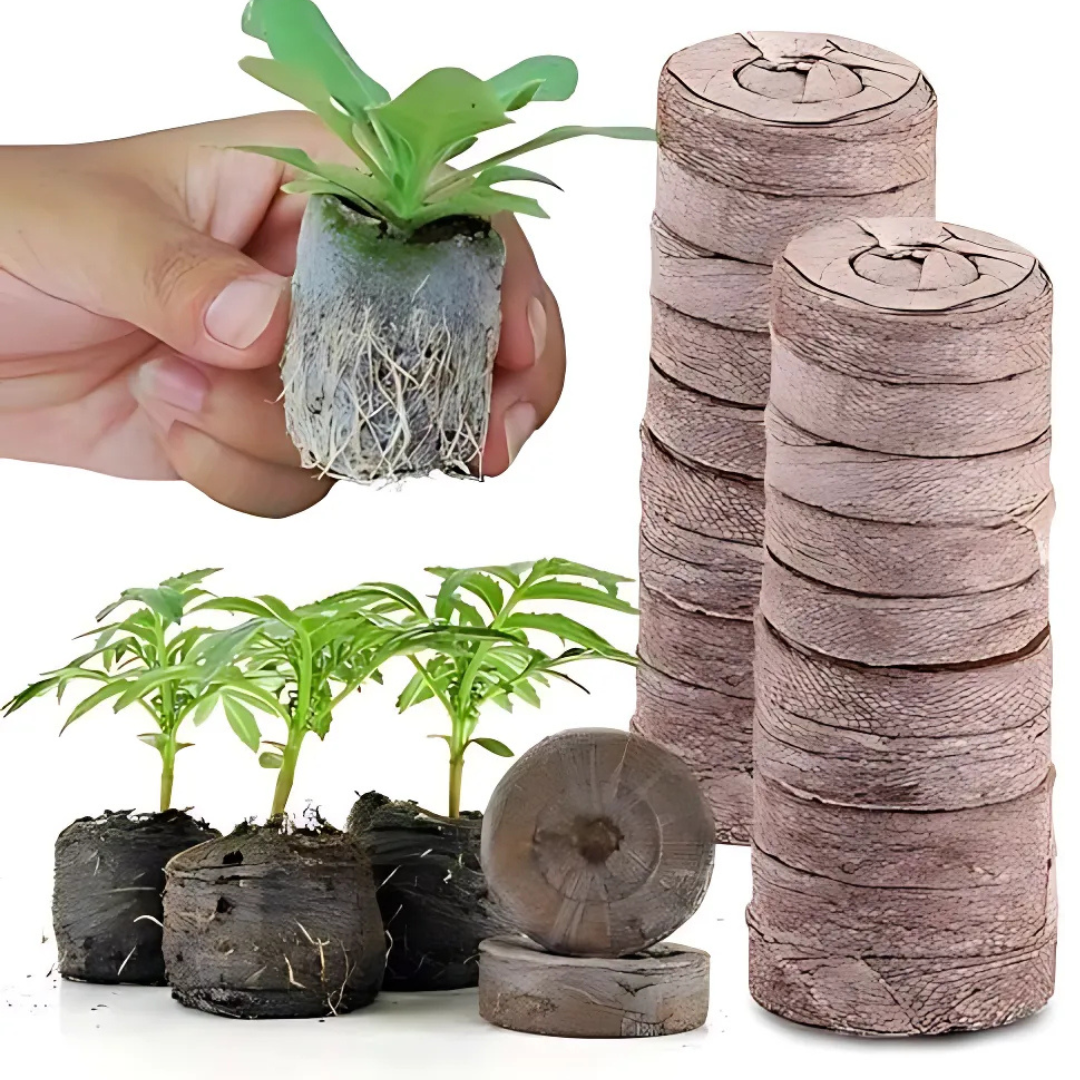 Kokos-Anzuchtpellets Torf für Samen & Jungpflanzen – Detailansicht 2 | BEST-AMBIENCE