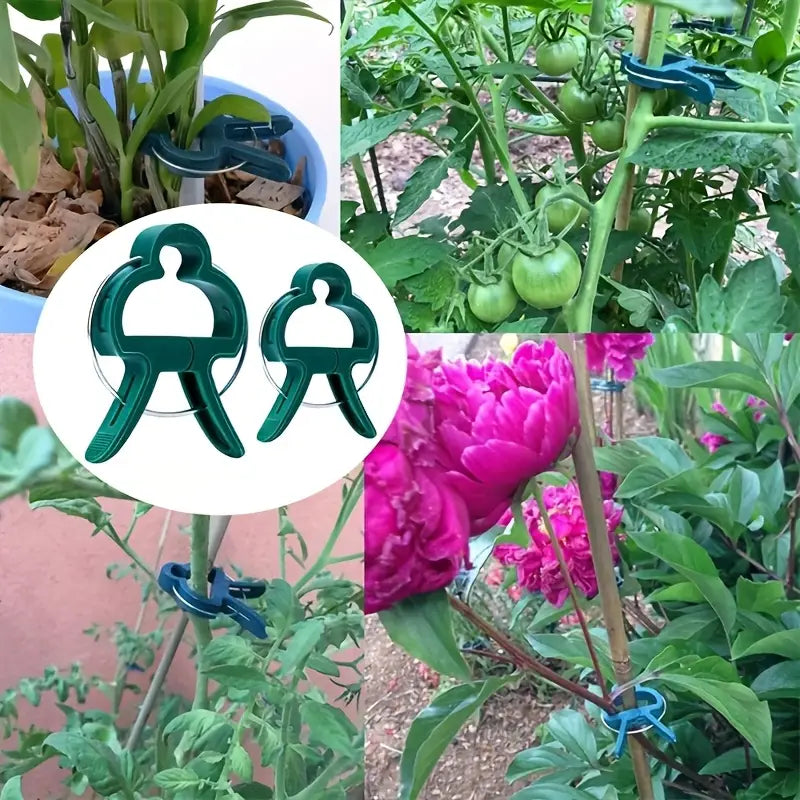 Pflanzclips Set – Pflanzenstützen & Gartenpflege Schlaufen - Garten & Outdoor | BEST-AMBIENCE
