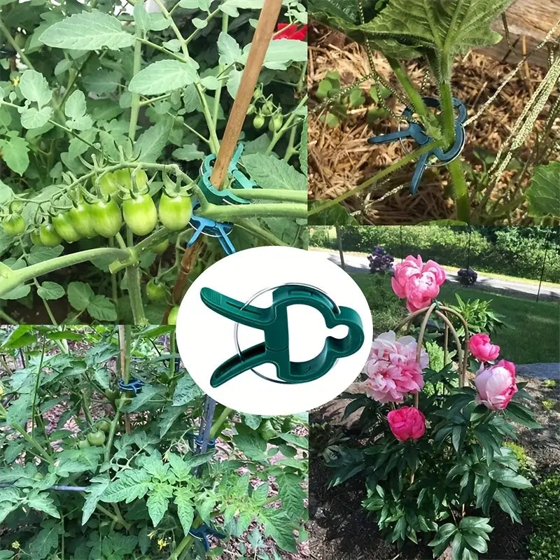 Pflanzclips Set – Pflanzenstützen & Gartenpflege Schlaufen - Detailansicht 4 | BEST-AMBIENCE