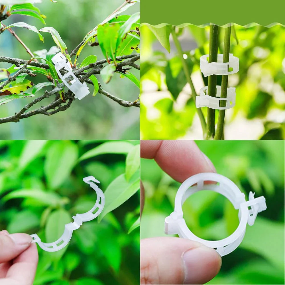 Kletterpflanzen-Clips: Flexible Stützhalter für Stämme