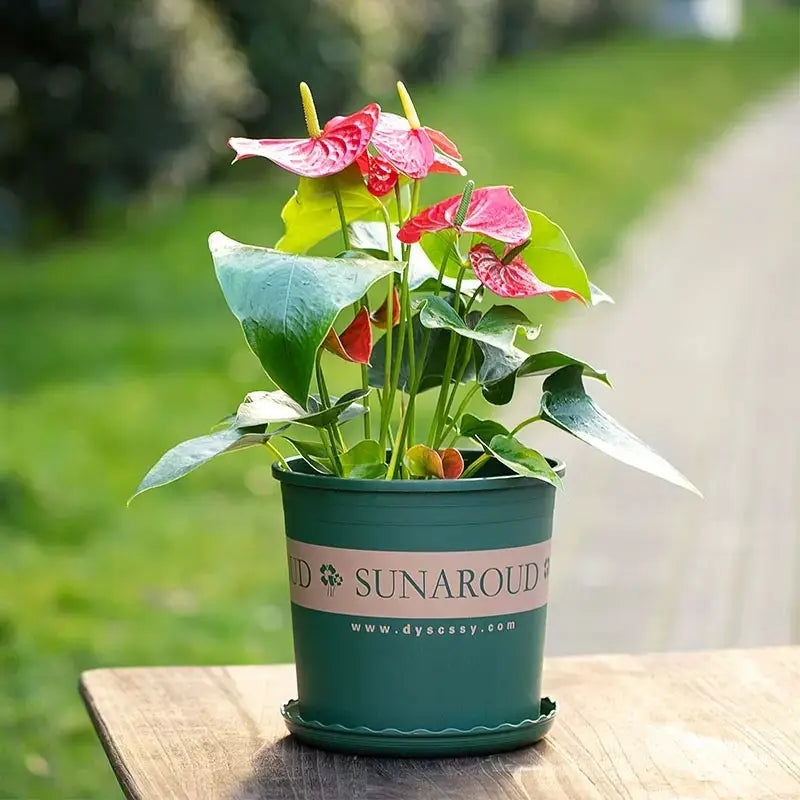 Wetterfester Blumentopf Kunststoff – Garten & Balkon – Garten & Outdoor | BEST-AMBIENCE