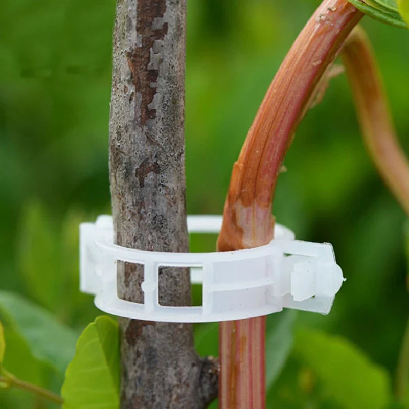 Kletterpflanzen-Clips: Flexible Stützhalter für Stämme