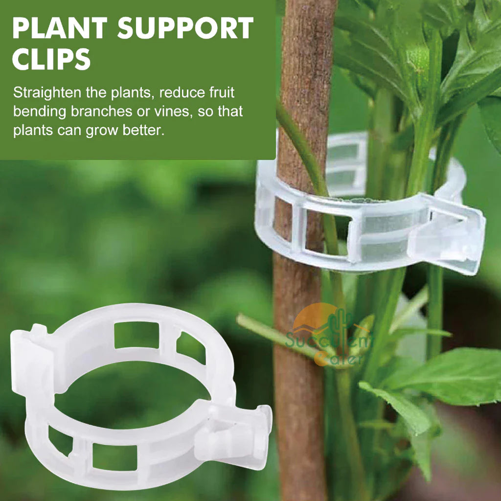 Kletterpflanzen-Clips: Flexible Stützhalter für Stämme